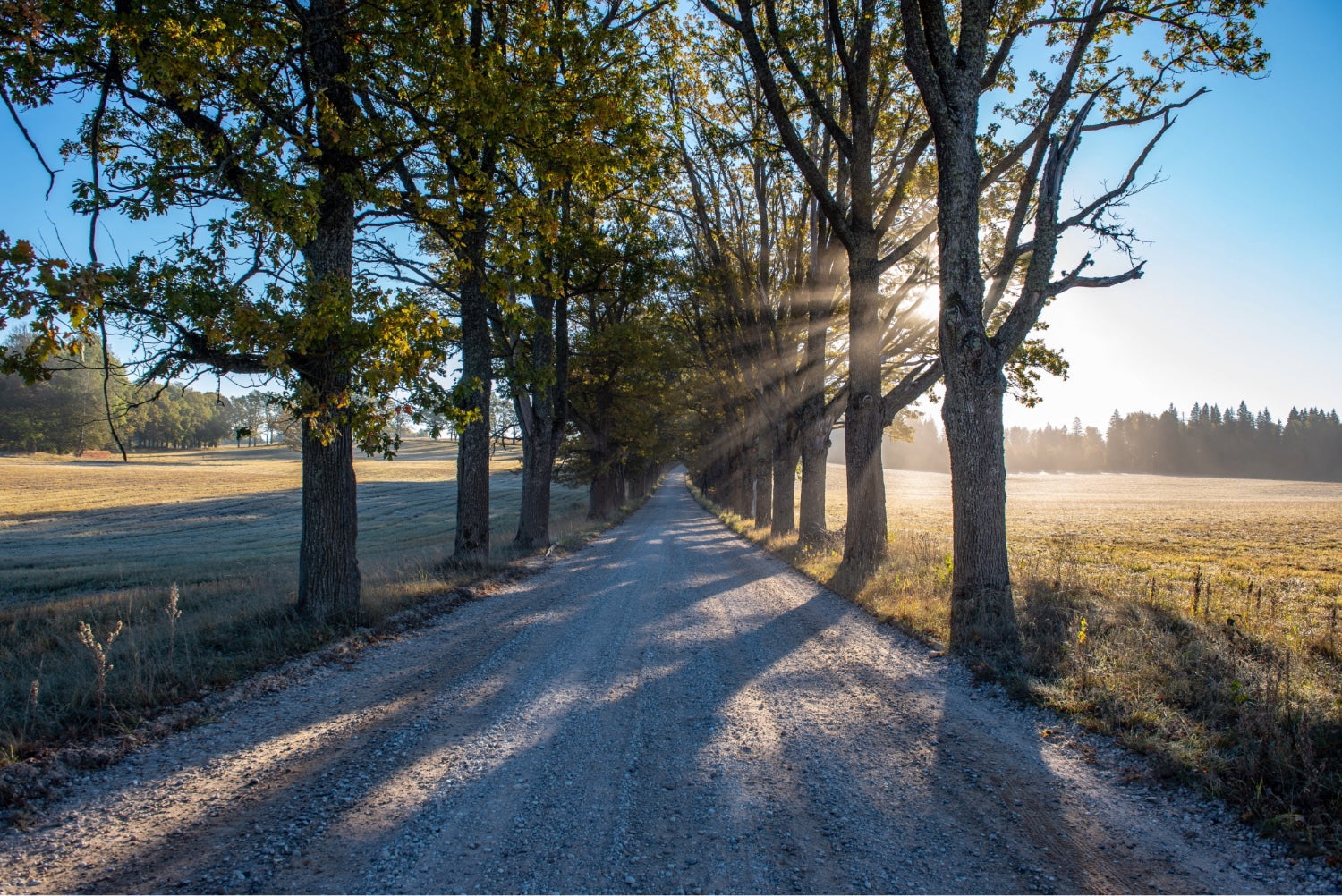 A simple morning routine with a notebook and coffee in soft natural light.