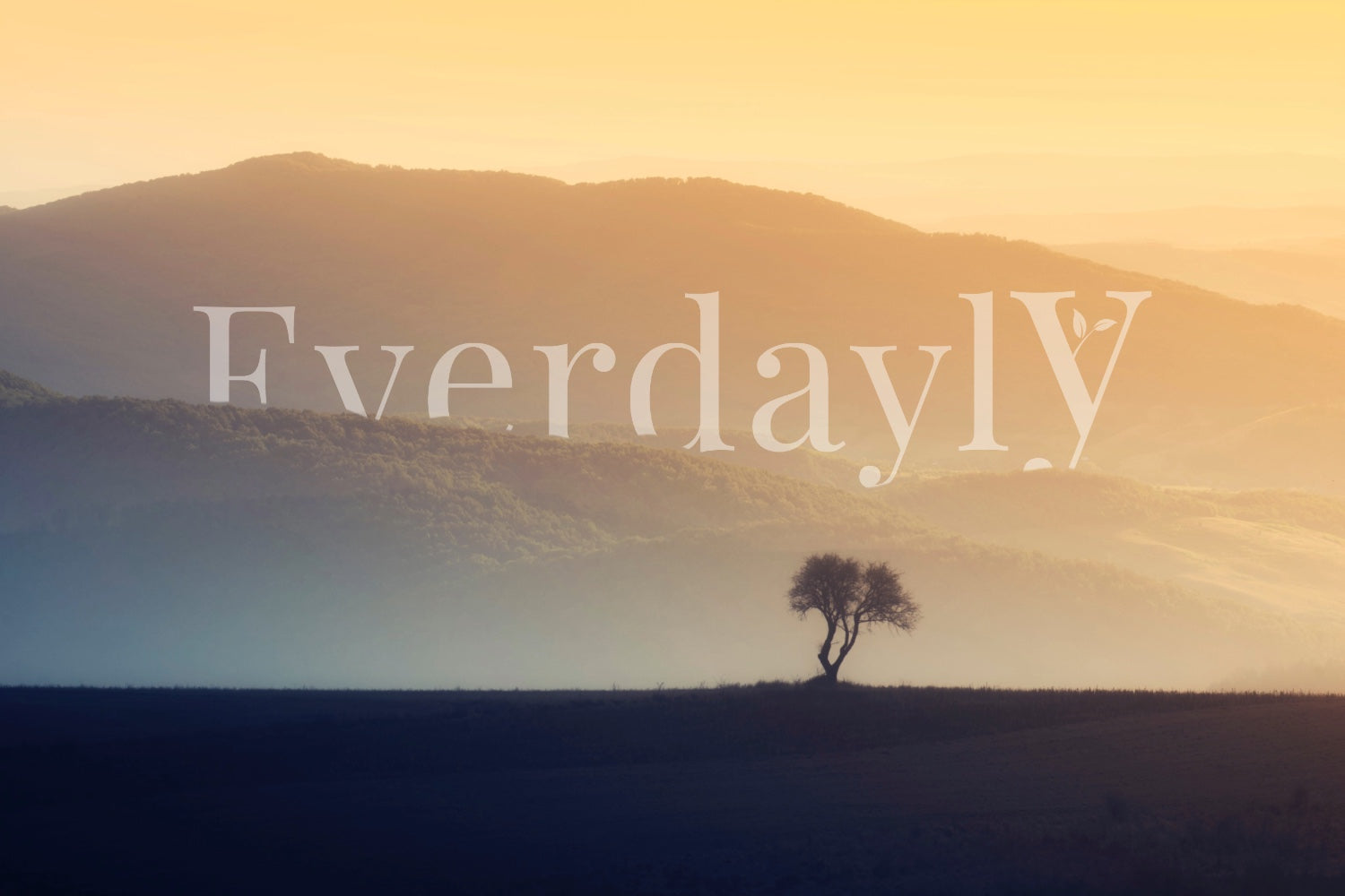 Close-up of strong tree roots grounded in the earth.